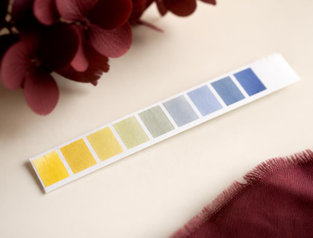 pH test strip with a colour scale